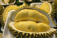Hindari Makan Buah dan Makanan Ini Jika Tidak mau Terjadi Pada Kesehatan Anda
