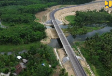 Tol Raksasa Mengubah Takdir Sumsel: Dari Jalan Cepat Menuju Pusat Ekonomi Baru Indonesia