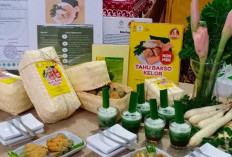 Sulap Daun Kelor Jadi Aneka Olahan Pangan Digemari