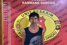 Pelaku Pencurian Sawit Kepergok Pemilik Kebun
