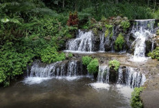 7 Fakta Green Paradise Pagar Alam: Tiket Murah, Air Jernih, Spot Viral di Kaki Gunung Dempo