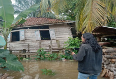 Krakk, Krakk.. Rumah Yuli Nyaris Hanyut 