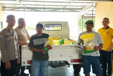 Wujudkan Inovasi Gerakan Pangan Murah
