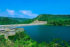 Transformasi Sumatera Selatan Lewat 15 Proyek Strategis Nasional: Menuju Pusat Ekonomi Baru Indonesia