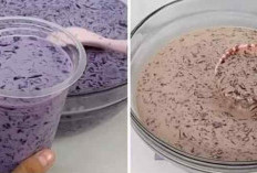 Es Lumut Viral, Minuman Segar dan Mudah Dibuat di Rumah! 