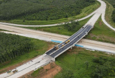 Pembangunan Tol Baru Sumatera Picu Ekonomi Daerah, Akses Lancar, Harga Tanah Melejit!