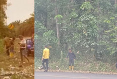 Sampah Menumpuk di Pinggir Jalan Gelumbang Mendapat Perhatian Masyarakat