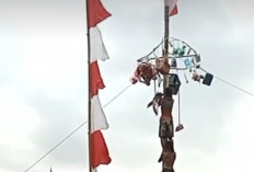 4 Makna Dari Perlombaan Panjat Pinang