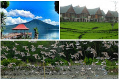 Anugrah Sang Pencipta tuk Sumsel: 5 Wisata Alam Keren Berstatus Internasional dan 2 Menasional