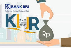 KUR BRI Solusi Debitur Kembangkan Usaha, Bunga Kecil Pencairan Cepat 