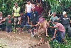 2 Selamat 1 Meninggal, Asyik Mandi Tiga Orang Bocah Hanyut Disapu Banjir Bandang