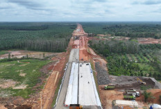 Tol Betung–Jambi Seksi 2A Telan Rp4,91 T, Seberapa Besar Manfaatnya untuk Jambi?