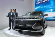 Mobil PHEV Semakin Diminati, Chery dan Wuling Kuasai Pasar Indonesia
