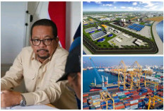 Emang di Palembang Ada Pelabuhan Canggih Berkelas Internasional? Ada tapi... dan Itu Persembahan Sumsel