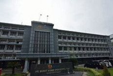 Tanggapan PTBA Terkait Laporan Lahan Proyek CHF TLS 6 & 7