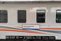 KA Wijayakusuma, Kereta Api dengan Okupansi Tertinggi di Indonesia 