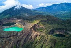 6 Taman Nasional yang Menyimpan Keindahan Satwa Langkah dan Spesial di Nusantara