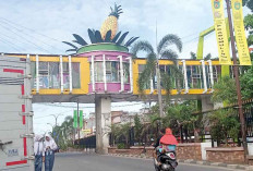 Bukan RKT, Tapi Kecamatan Ini yang Paling Padat Penduduk di Kota Prabumulih! Cek Datanya!