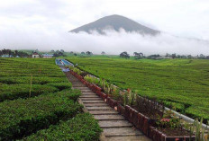 Tempat Tersembunyi di Sumsel yang Bikin Betah: Sudah Siap dengan Kejutan Serunya?