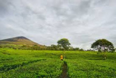 Ke Pagaralam Cuma Mau Foto? Sayang Banget, Nih 7 Hal Seru yang Wajib Dicoba!