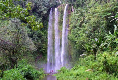 Kenapa Air Terjun Ini Disebut Curup Embun? Temukan Jawabannya di Pagar Alam!