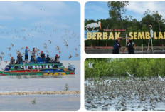 Wisata Alam Permata Nan Indah di Sumsel Ini Bak di Luar Negeri