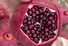Kaya Antioksidan, Vitamin C dan Serat,Buah Delima Baik Untuk Anak-Anak