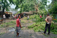 Puluhan Atap Rumah Rusak dan Ratusan Pohon Tumbang Rusak serta Ganggu Fasilitas Umum