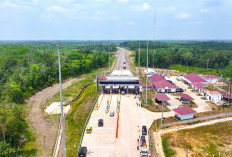 Proyek Tol di Sumsel jadi Penopang Utama Pengembangan Kawasan Industri, Distribusi Logistik, hingga Pariwisata
