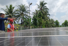 Dulu Beli BBM untuk Pompa Air, Kini Gratis Berkat Energi Surya