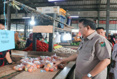 Cegah Inflasi Pasca Lebaran, Subsidi Bawang Merah dan Ikan