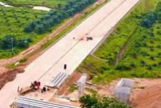 Tol Raksasa Sumatra: Palembang-Jambi Akan Tersambung, 7 Jam Jadi 2 Jam!