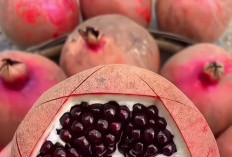 7 Manfaat Merah Delima Untuk Kesehatan Tubuh, Apa Saja? Yuk Simak!