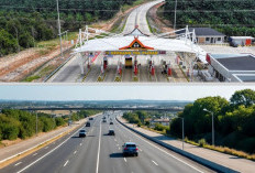 Ayo Jajal! Tol Betung-Jambi Resmi Dibuka Gratis: Pangkas Waktu dari 5 Jam jadi 2 Jam