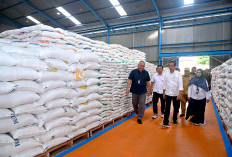 Pastikan Kelanjutan Distribusi Bantuan Pangan, Presiden Jokowi Tinjau Gedung Bulog Lubuk Linggau