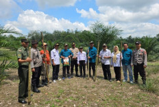 Manfaatkan Lahan Tidur Jadi Produktif
