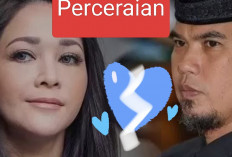 6 Fakta Tentang Perceraian Ahmad Dani dan Maia Estianti