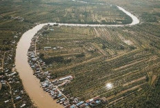 Banjarmasin, Kota Seribu Sungai: Pesona Tradisi dan Modernitas