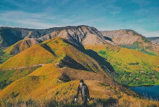 Inilah 5 Fakta Bukit Holbung dengan Panorama Danau Toba, Dijuluki Teletubbies Hill, Sudah Pernah ke Sini?