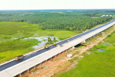 Ini 5 Daerah Penting di Sumsel yang dilintasi Jalan Tol, Wilayah Berkembang & Ekonomi Gaspol