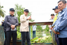 Wamendagri Bima Arya: Perbaikan Irigasi untuk Tingkatkan Hasil Panen