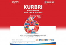 KUR BRI: Solusi Finansial Kelangsungan UMKM, Dorong Pertumbuhan Ekonomi 