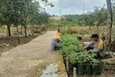 Inisiasi Program Ketahanan Pangan di Kelurahan Pasar 1