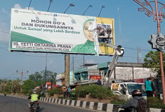 Baleho Billboard Caleg DPR RI dan DPD RI Ditertibkan