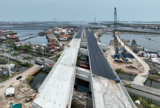 Tol Semarang-Demak Gunakan 10 Juta Bambu! Inovasi Ramah Lingkungan Ini Bikin Dunia Terkagum!