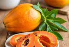 6 Macam Buah yang Dapat Mengobati Orang yang Sakit DBD