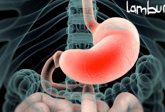 10 Ciri Lambung yang Sehat