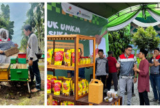 Agrosociopreneurship PHE Jambi Merang yang Mengubah Wajah Desa