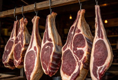 3 Peran Daging Kambing Untuk Darah Rendah