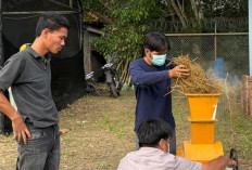 Merajut Harapan dari Limbah Jerami, Petani Pengabuan Tingkatkan Penghasilan Lewat Produk Ramah Lingkungan